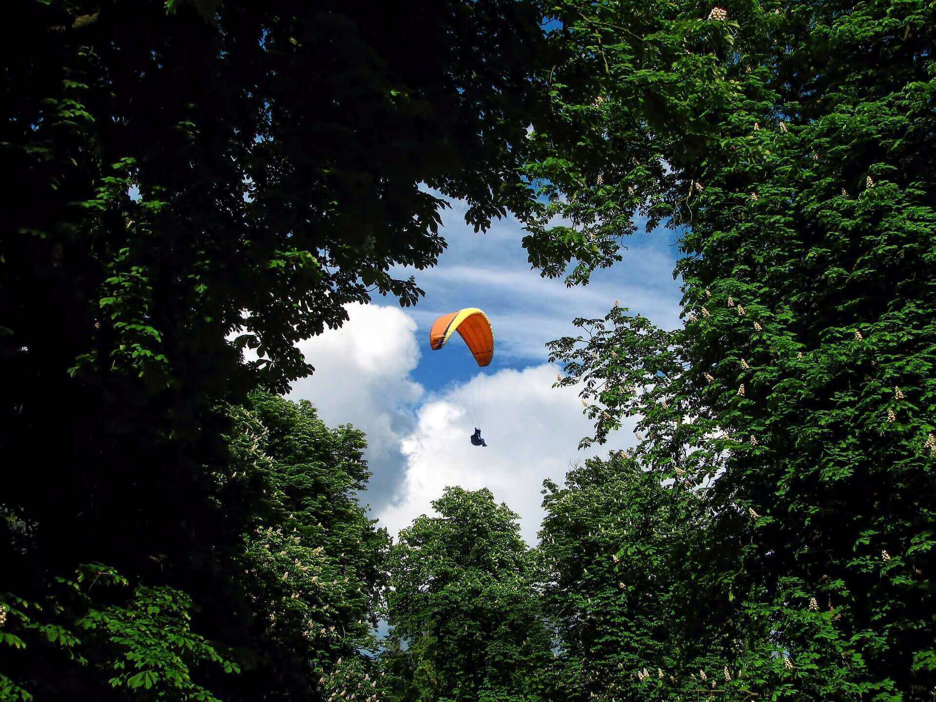 Paraglider 1973020 19201 1